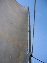 IMG 0253