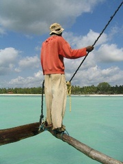 IMG 0254