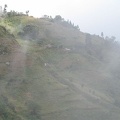 IMG 0554