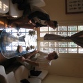 IMG 4499