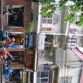 IMG 4510